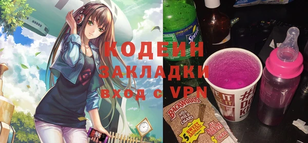спиды Вяземский